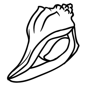 Conch coloring pages printable for free download