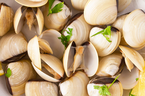 Types, Varieties, and Cooking Suggestions for Clams