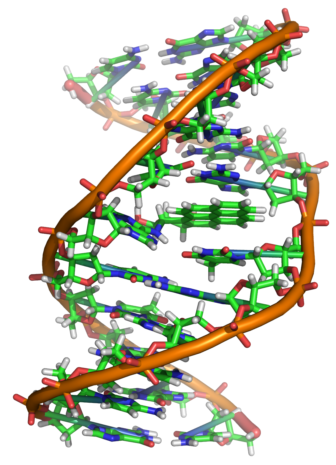 Mutation