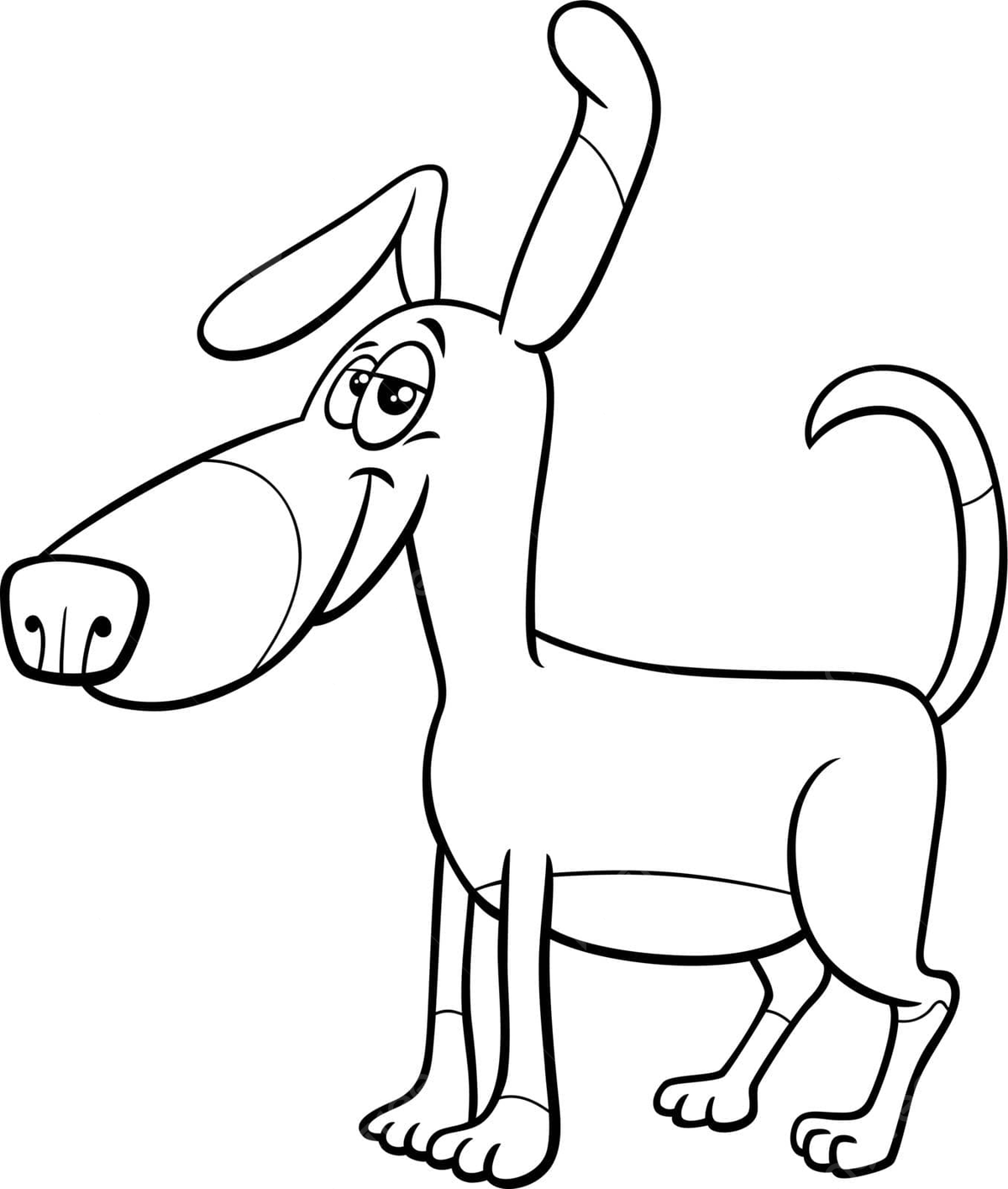 Paws coloring book png transparent images free download vector files