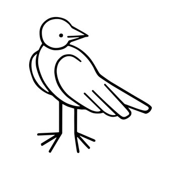 Page birds line drawing images