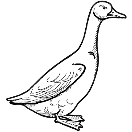 Image result for goose drawing goose drawing how to draw steps animal drawings