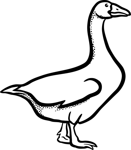 Explore free goose illustrations download now