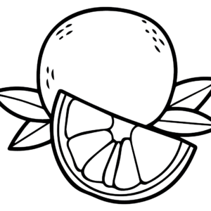 Grapefruit coloring pages printable for free download