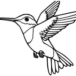 Hummingbird coloring pages printable for free download