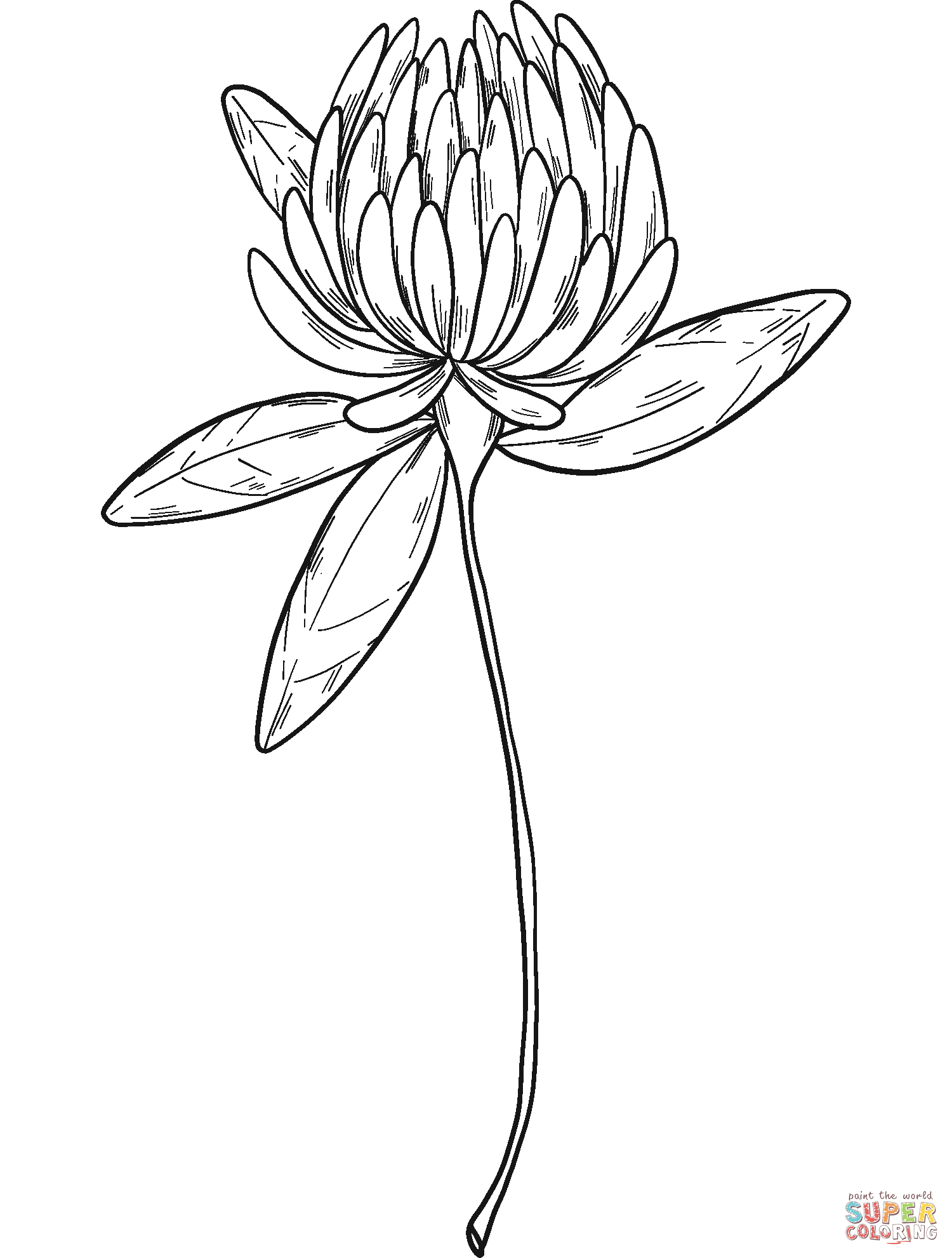 Clover flower coloring page free printable coloring pages