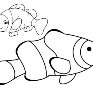 Clownfish coloring pages printable for free download