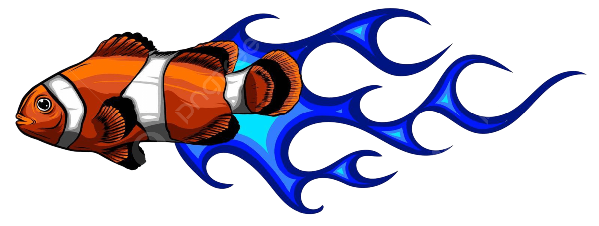 Clownfish vector art png images free download on