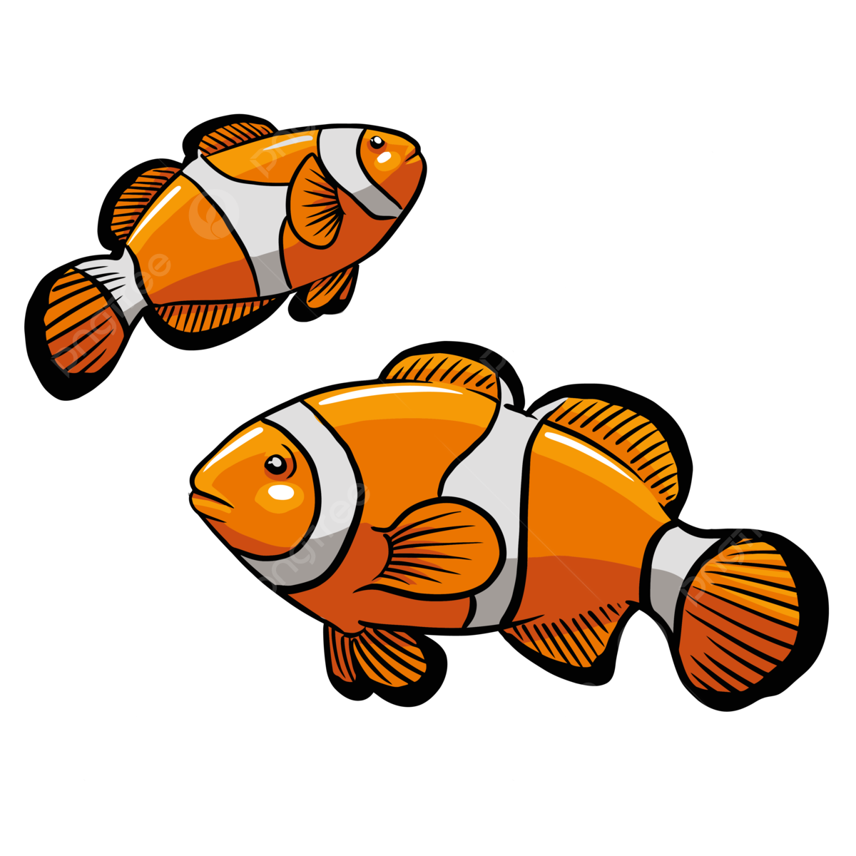 Clownfish vector art png images free download on