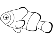 Clownfish coloring pages free coloring pages