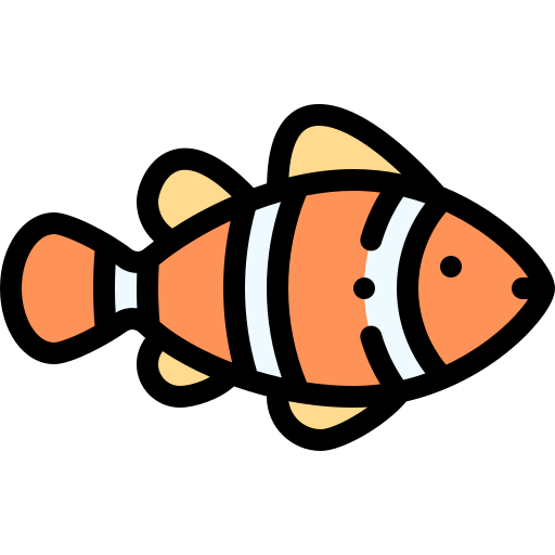 Clown fish