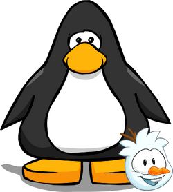 Snowman puffle club penguin wiki