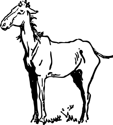 Free horse clipart pages of free to use images