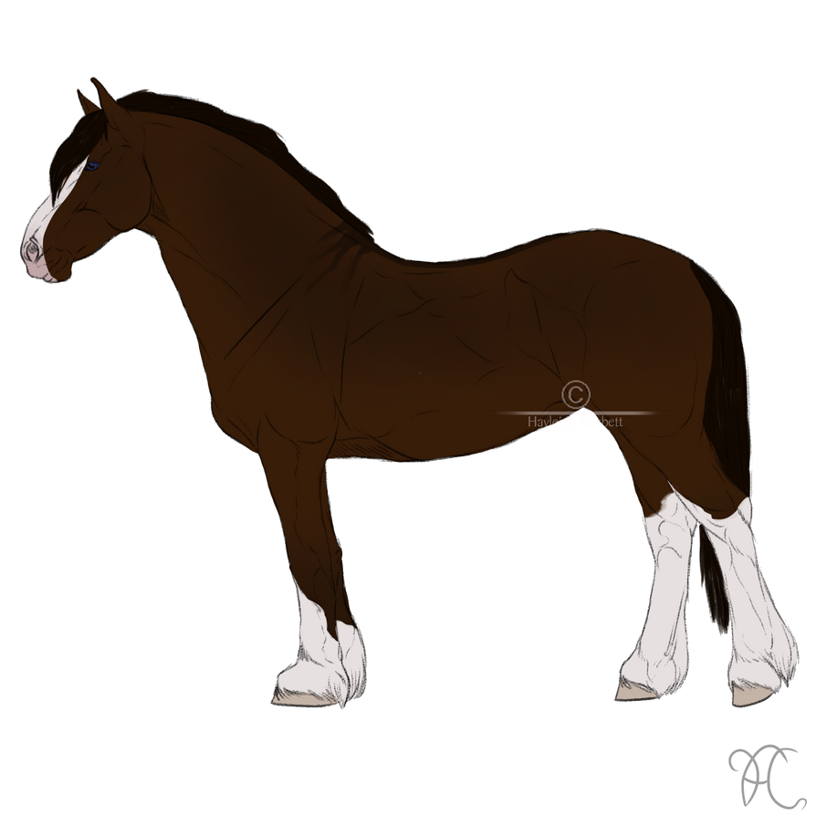 Moved art by darkoriamstables on