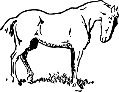 Free horse clipart pages of free to use images