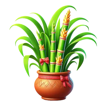 Pongal drawing png transparent images free download vector files