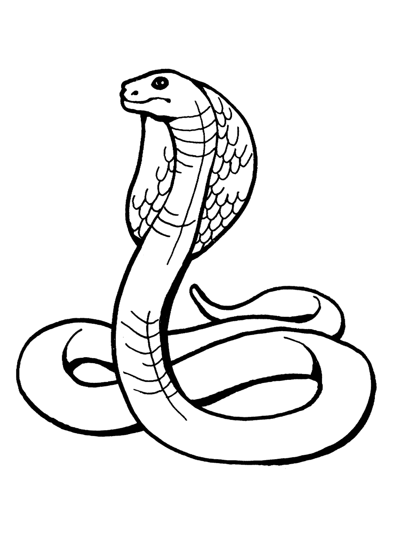 Free printable snake coloring pages for kids