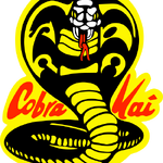 Cobra kai the karate kid wiki