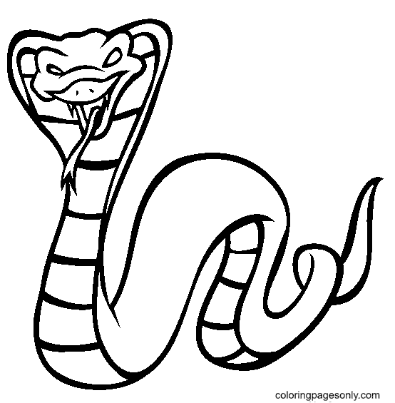 King cobra coloring page