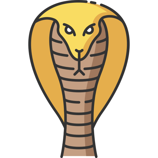 Cobra generic outline color icon