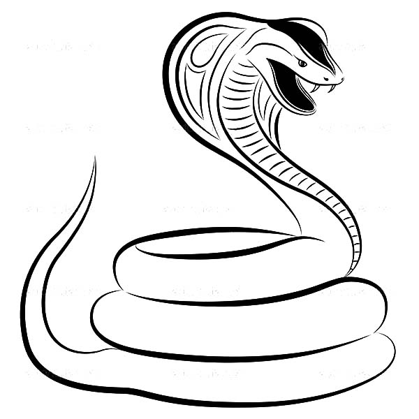 Pomysåy z tablicy kobra wäåe wäåe kolorowanki tatuowanie