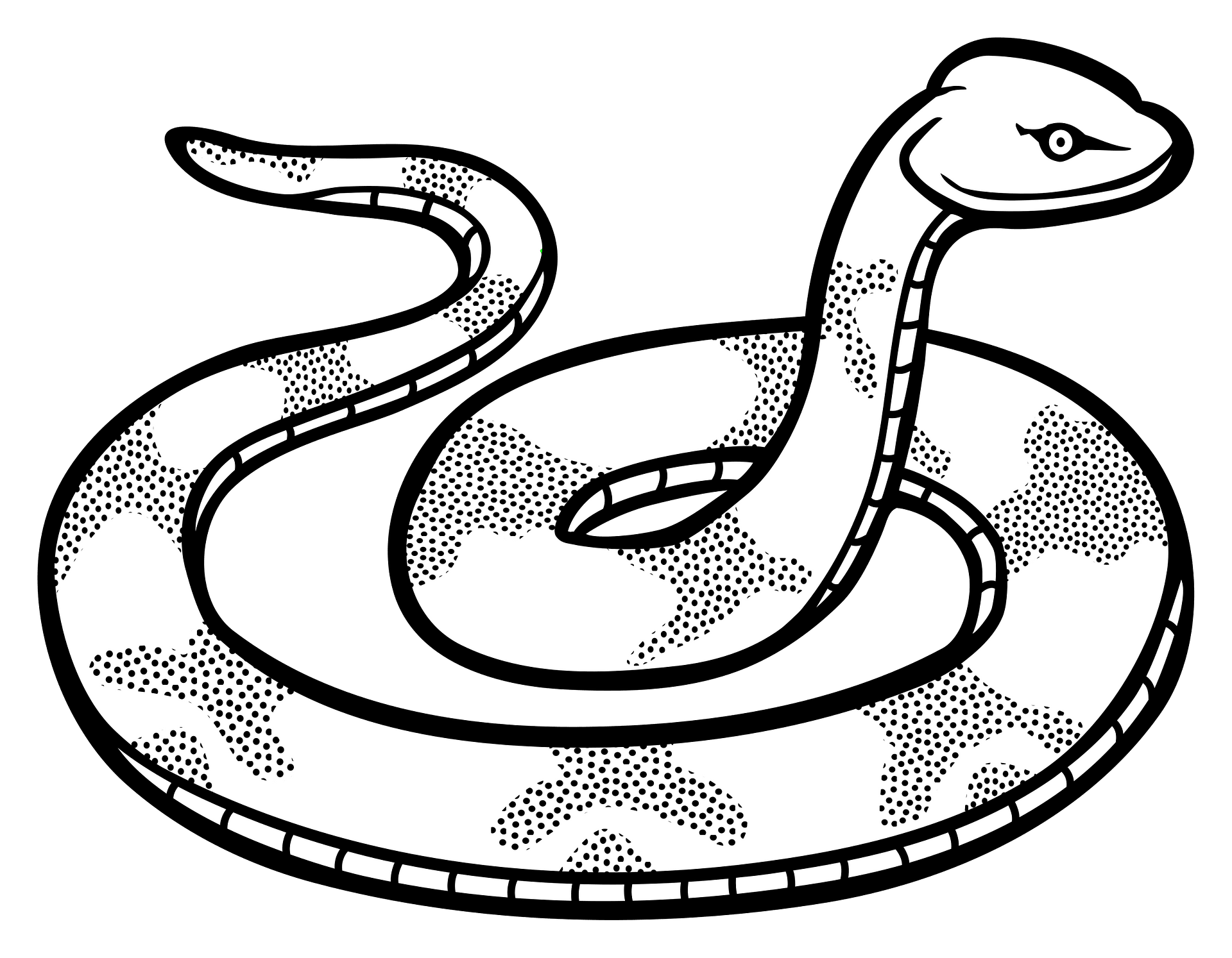 Snake clipart free download transparent png