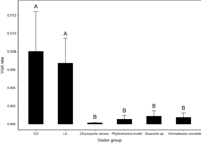 Effect of diurnal vs nocturnal pollinators and flower position on the reproductive success of echium simplex arthropod