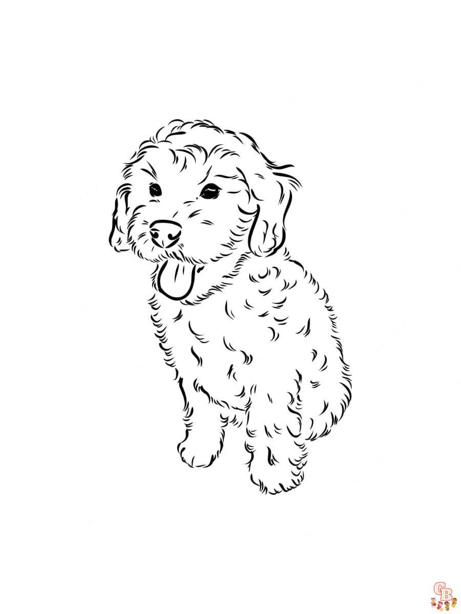 Printable goldendoodle coloring pages free for kids and adults