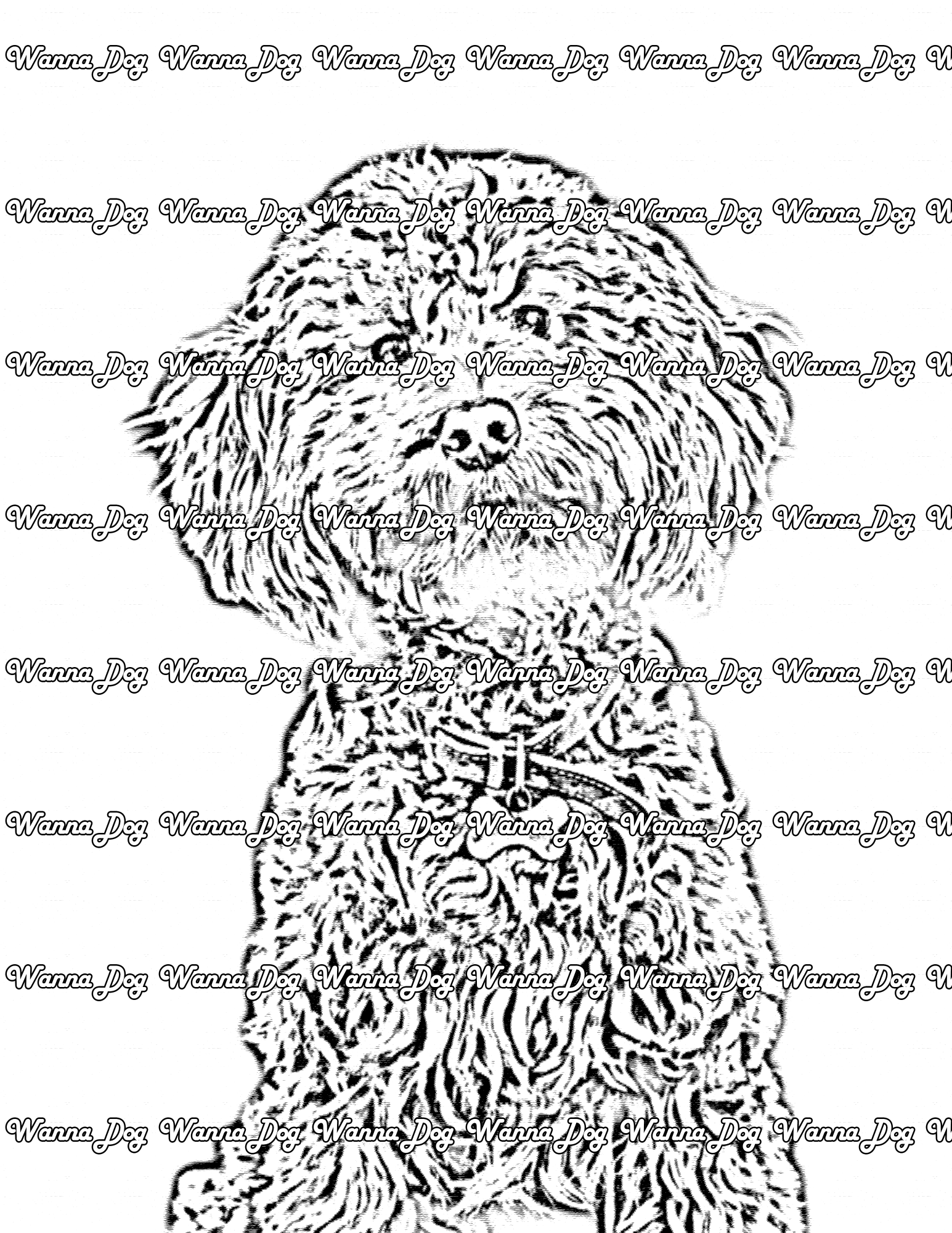 Cockapoo coloring pages â wanna dog