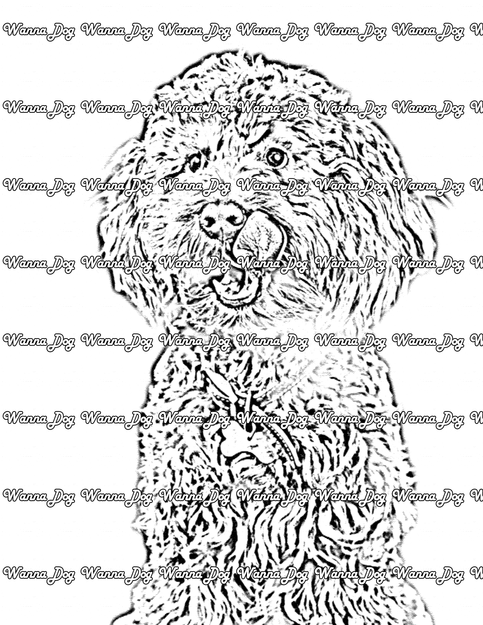 Cockapoo coloring pages â wanna dog