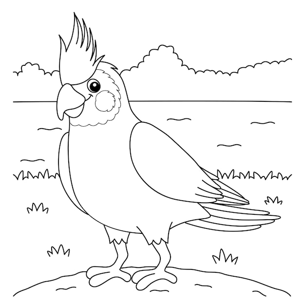 Premium vector cockatiel animal coloring page for kids