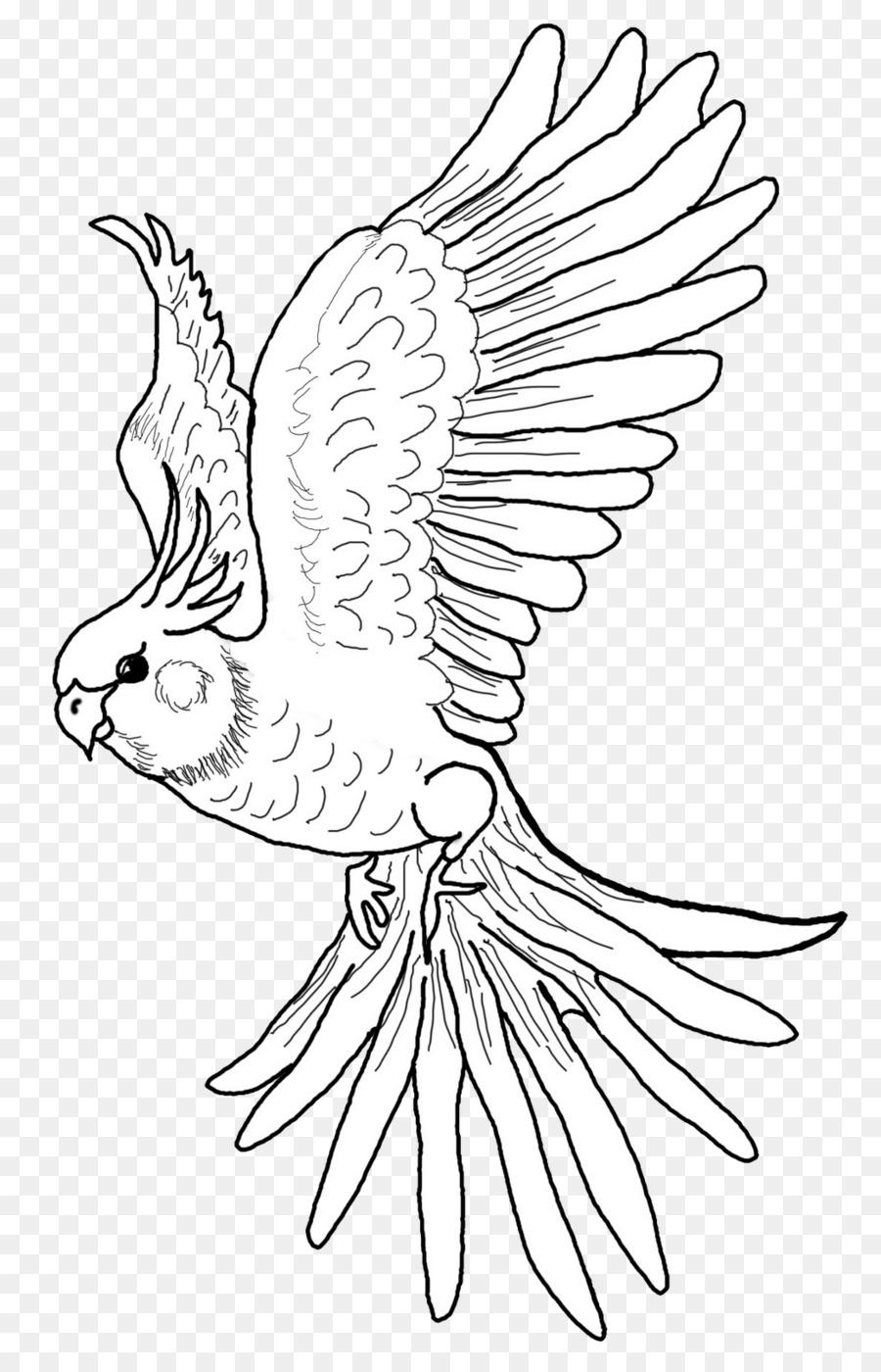 Bird line drawing png download