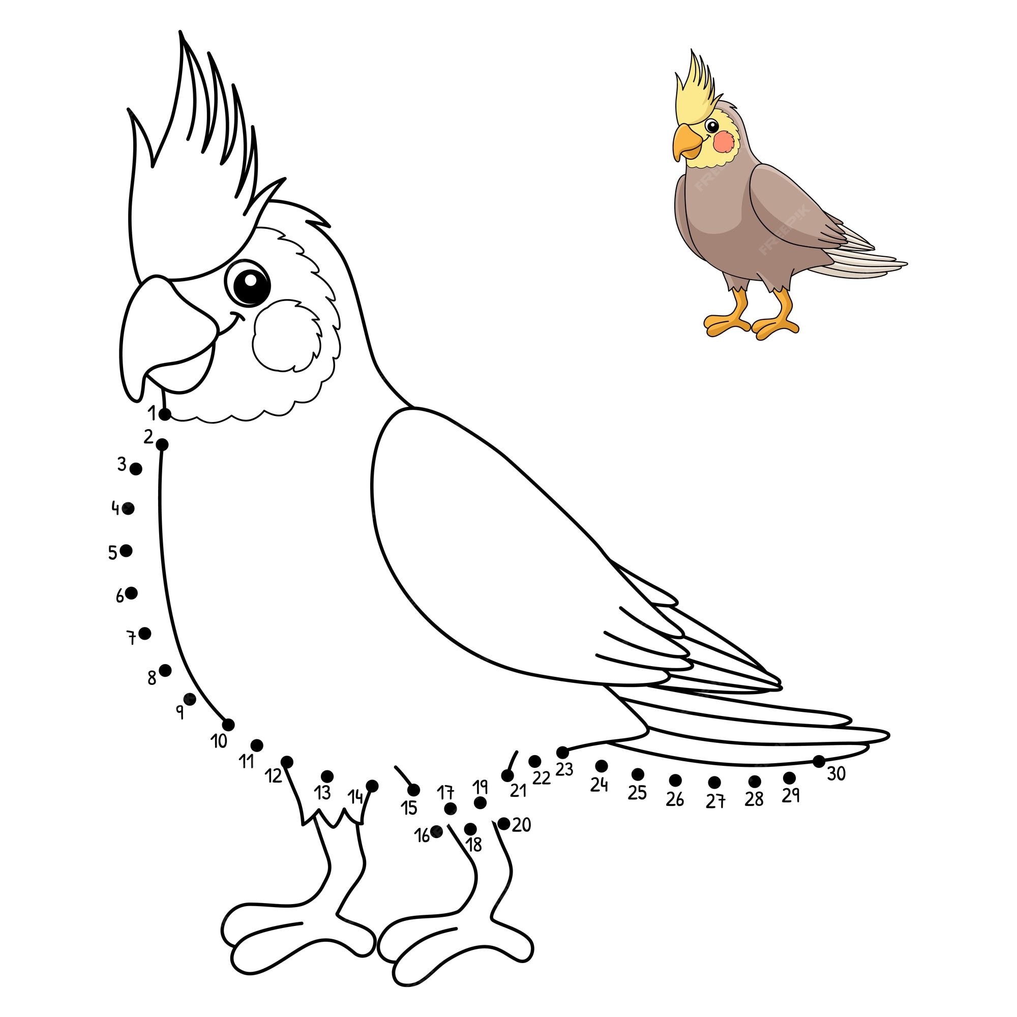 Premium vector dot to dot cockatiel isolated coloring page