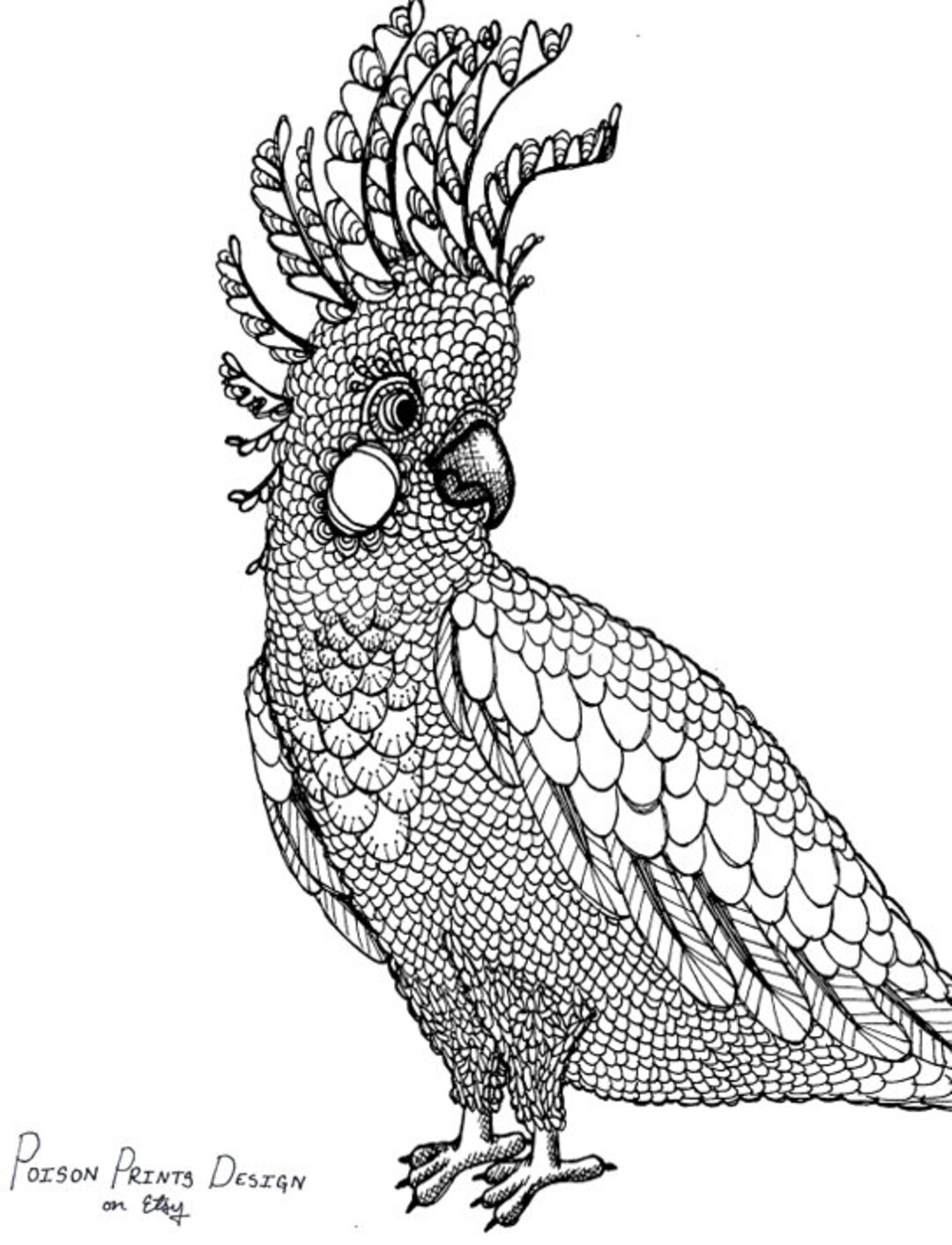 Cockatiel coloring page