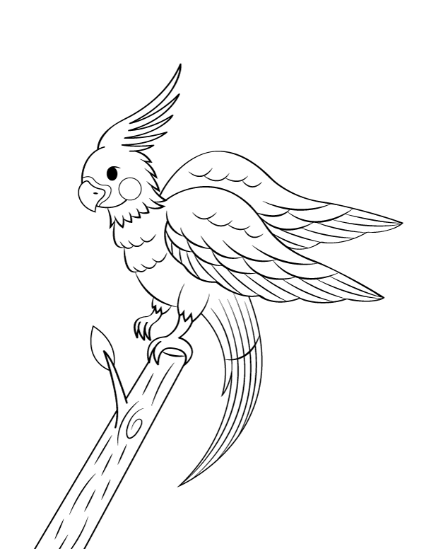 Printable cockatiel coloring page