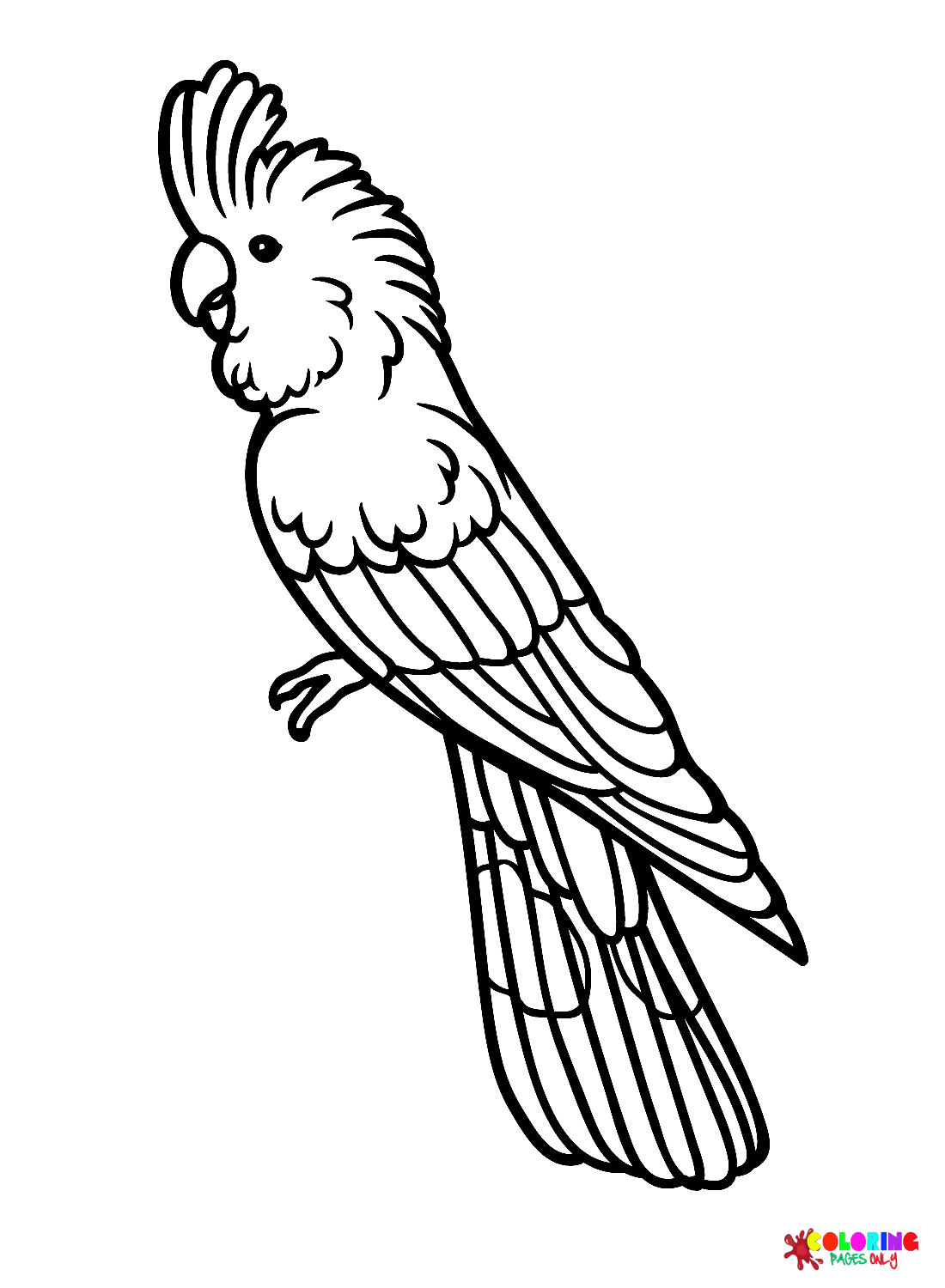 Cockatoo coloring pages printable for free download