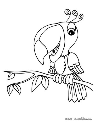 Cockatoo coloring pages