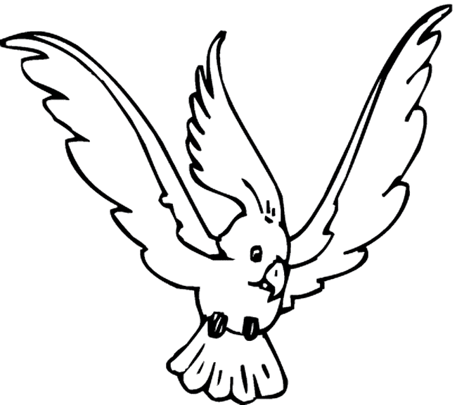 Cockatoo coloring page