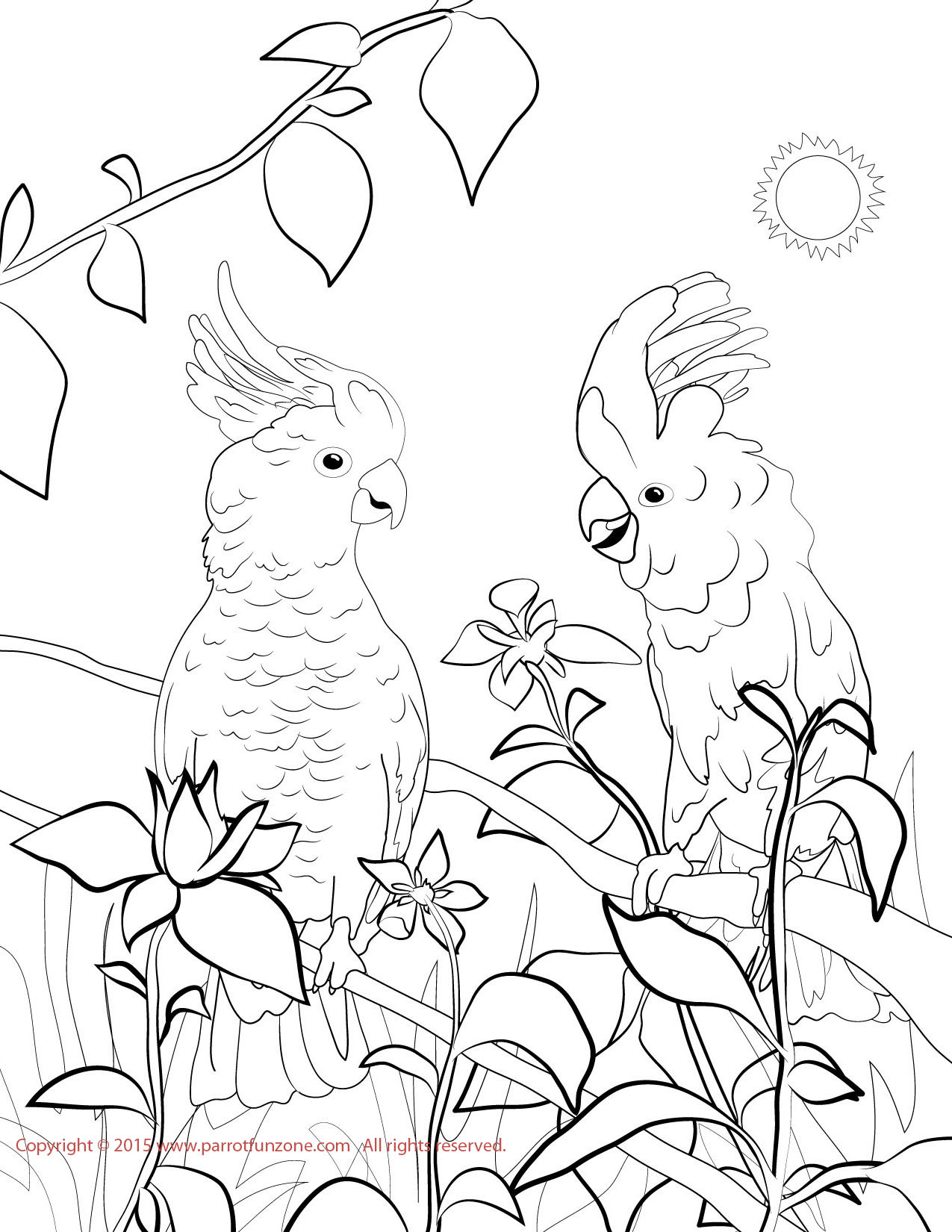 Cockatoo coloring page