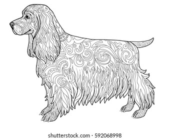 Hakuun spaniel dog doodle coloring book page liittyvã vektorikuva rojaltivapaa