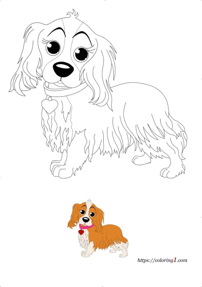 Cocker spaniel dog coloring pages