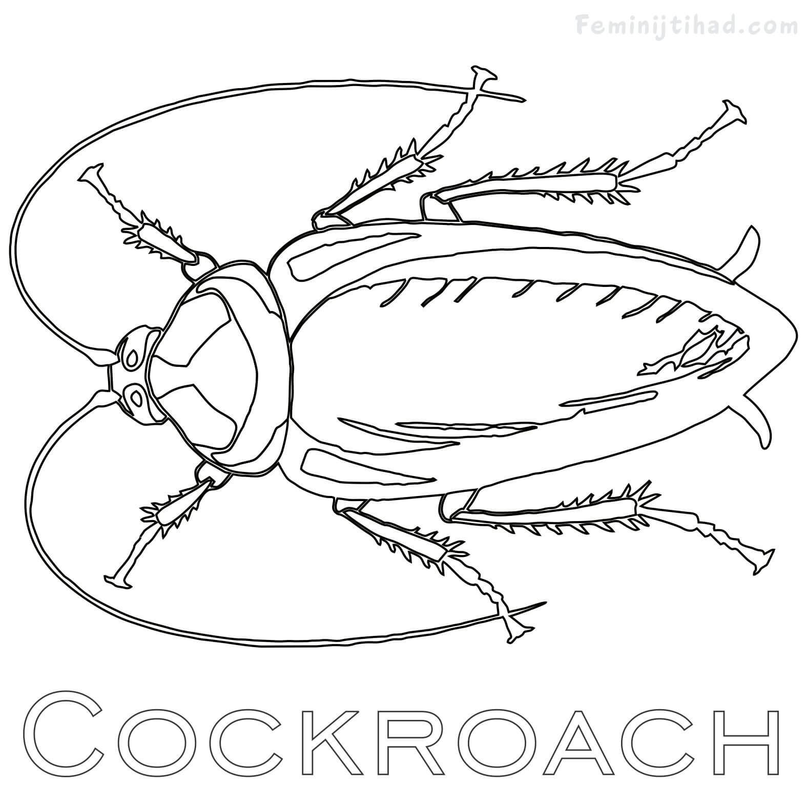 Cockroach coloring pages printable pdf