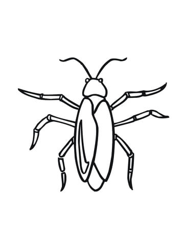 Cockroach coloring page free printable coloring pages