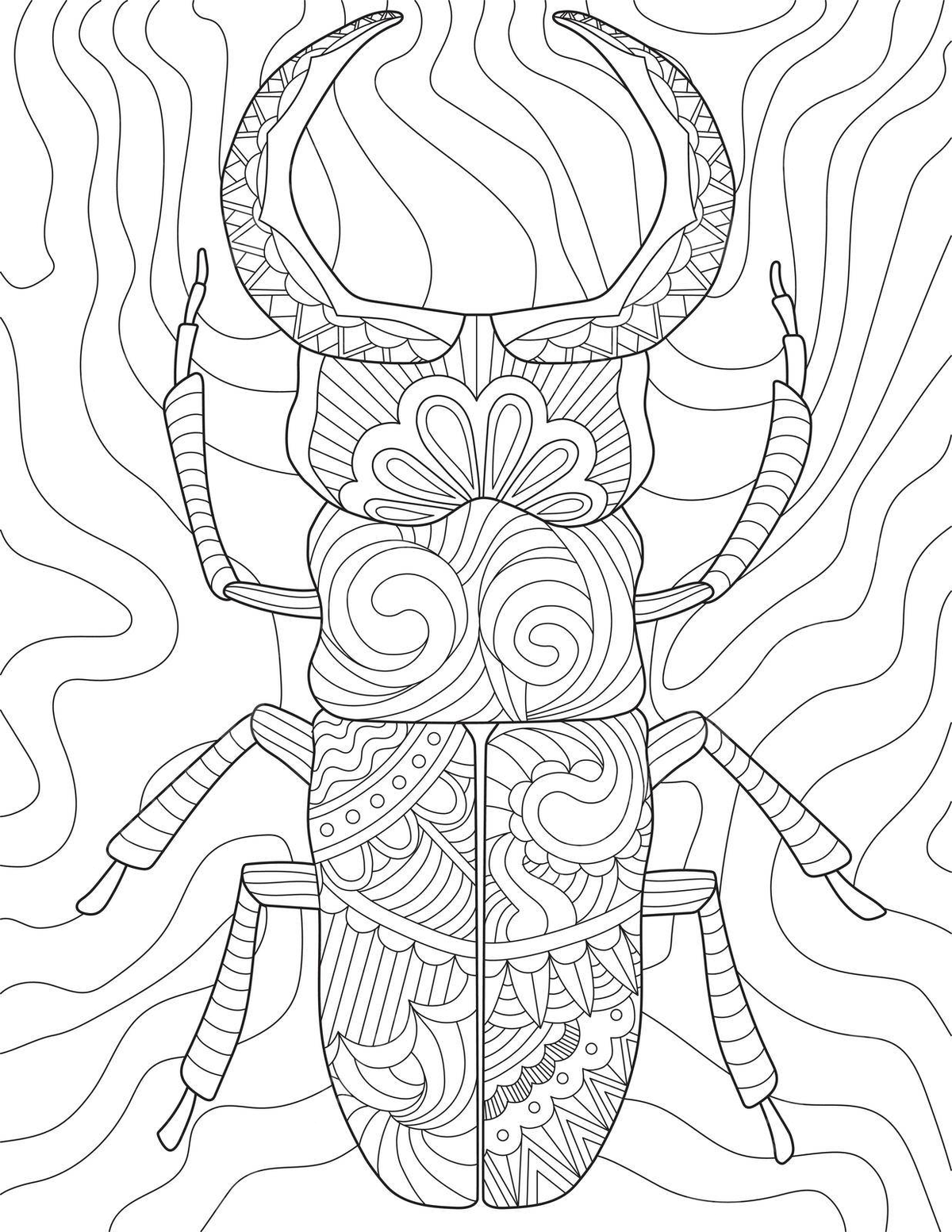 Detailed cockroach coloring page with legs and horns vector black and white sign abstract png and vector with transparent background for free download