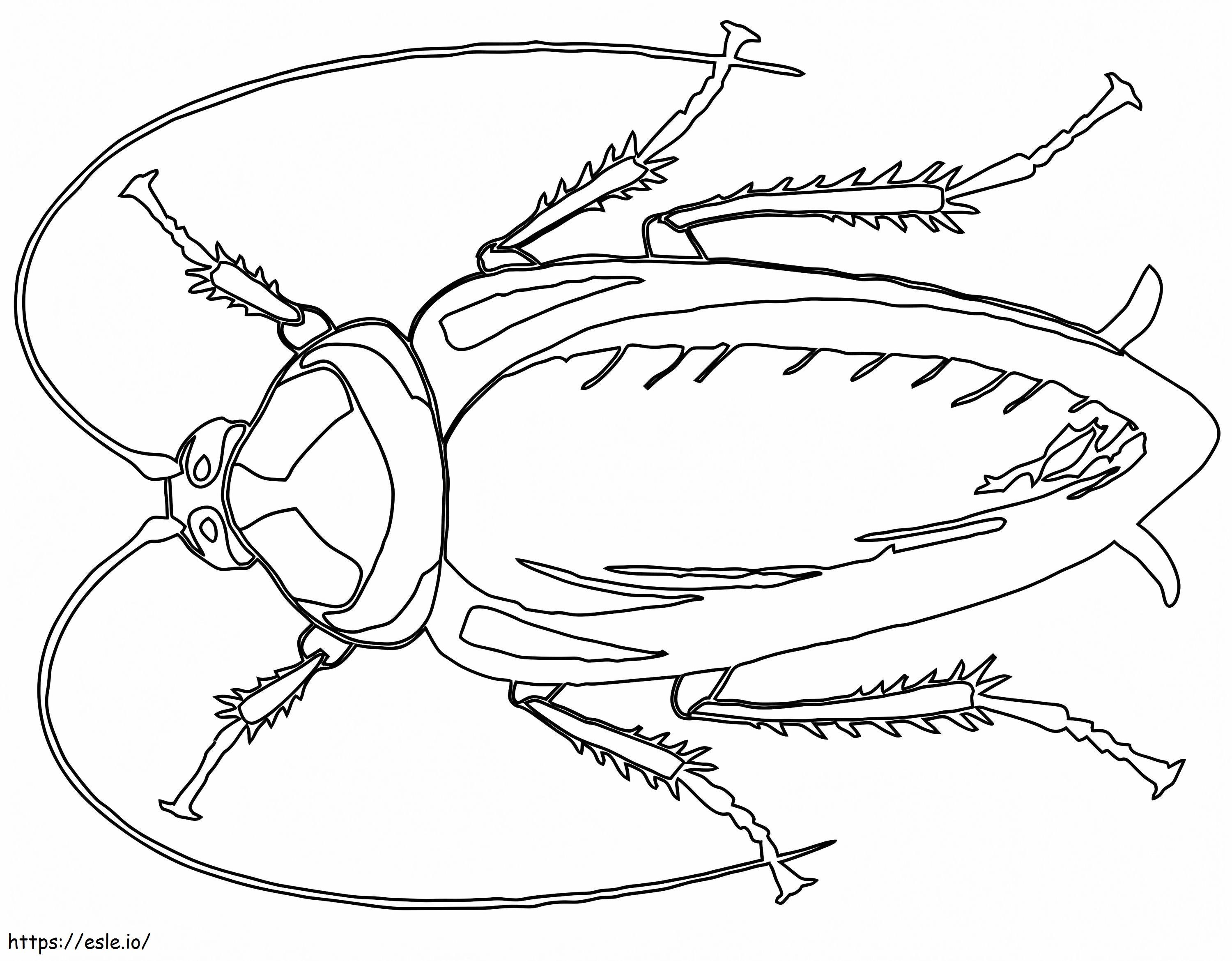 Cockroach printable coloring page