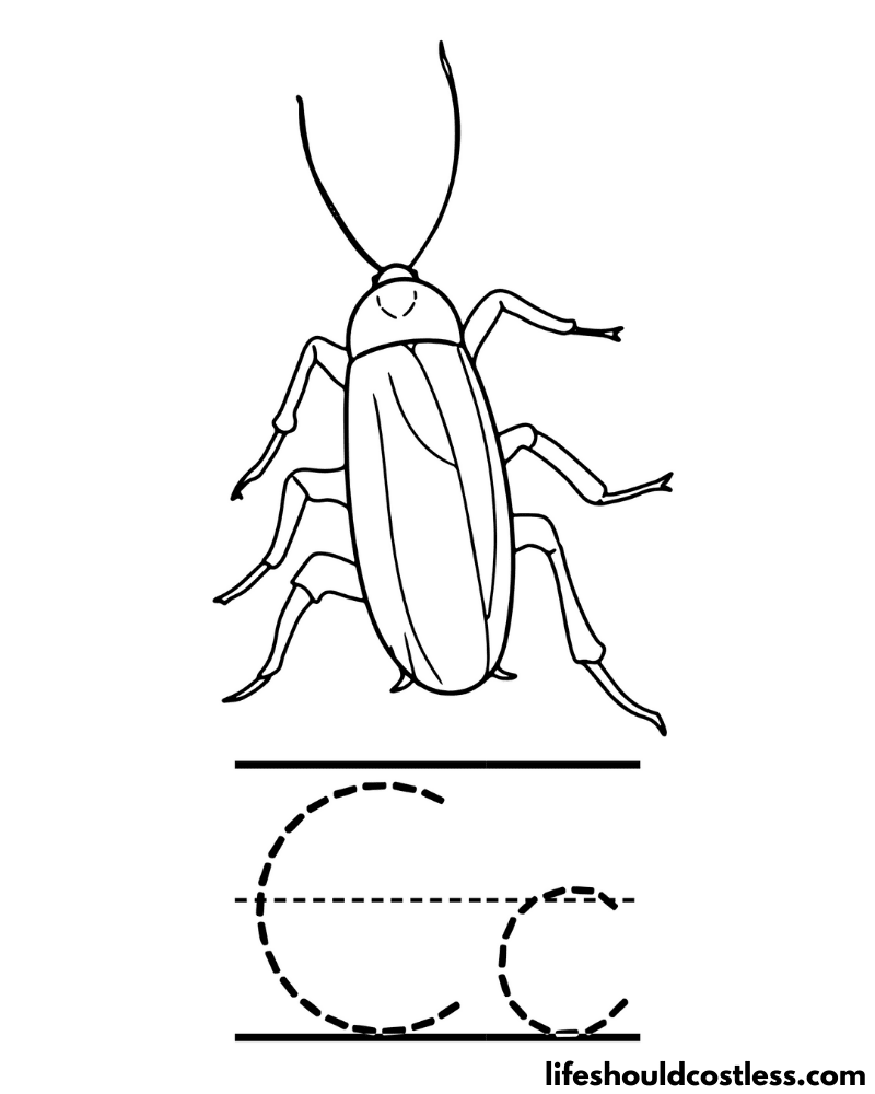 Cockroach coloring pages free printable pdf templates