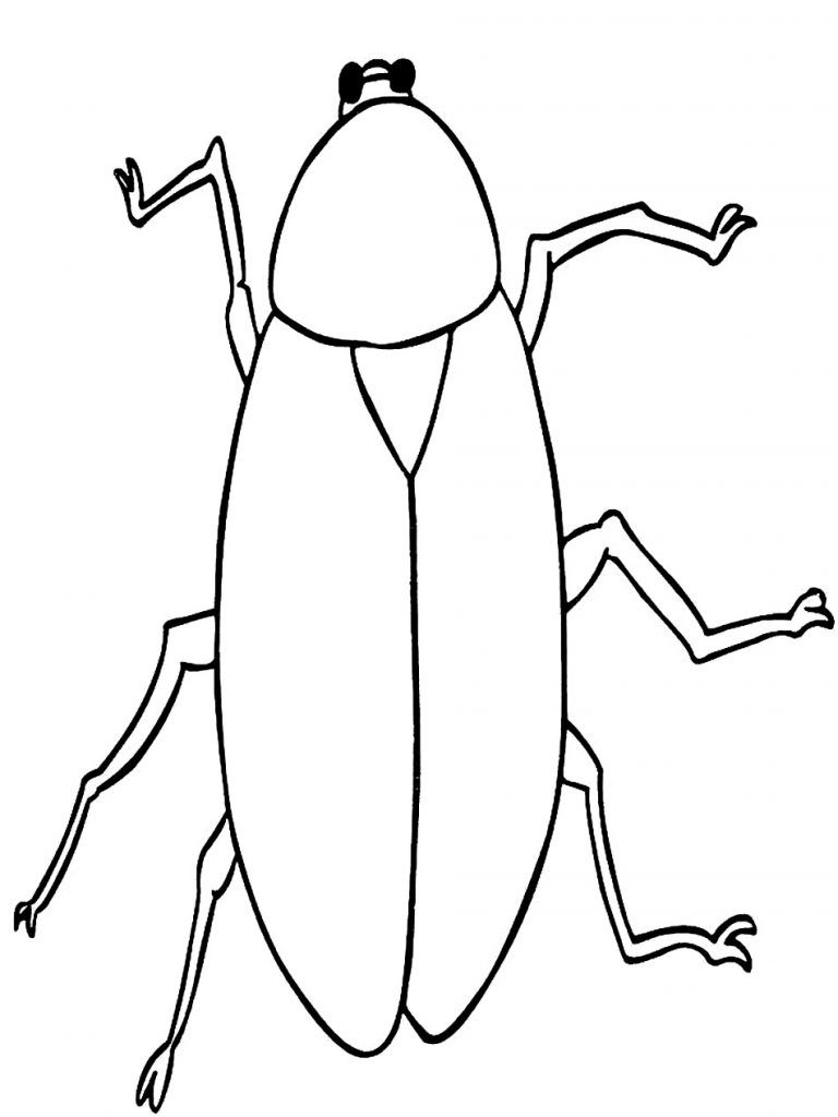 Free printable cockroach coloring pages for kids coloring pictures for kids coloring pages for kids coloring pages