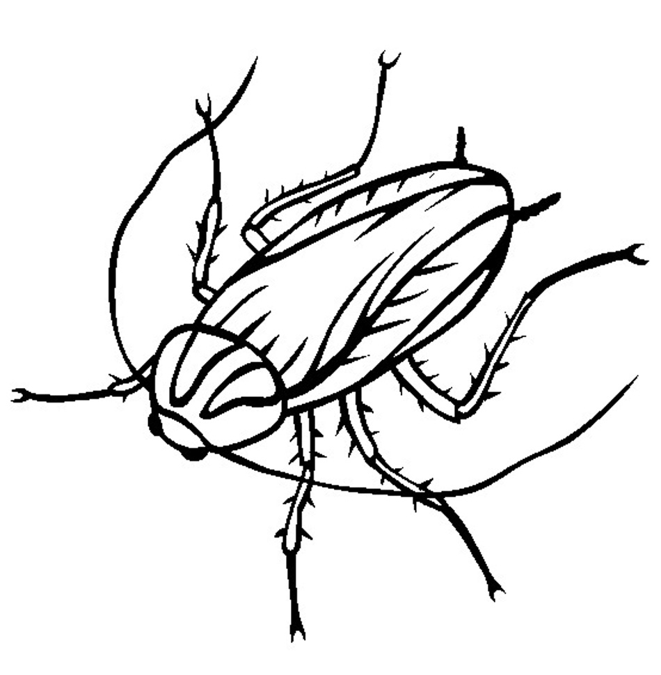 Free printable cockroach coloring pages for kids