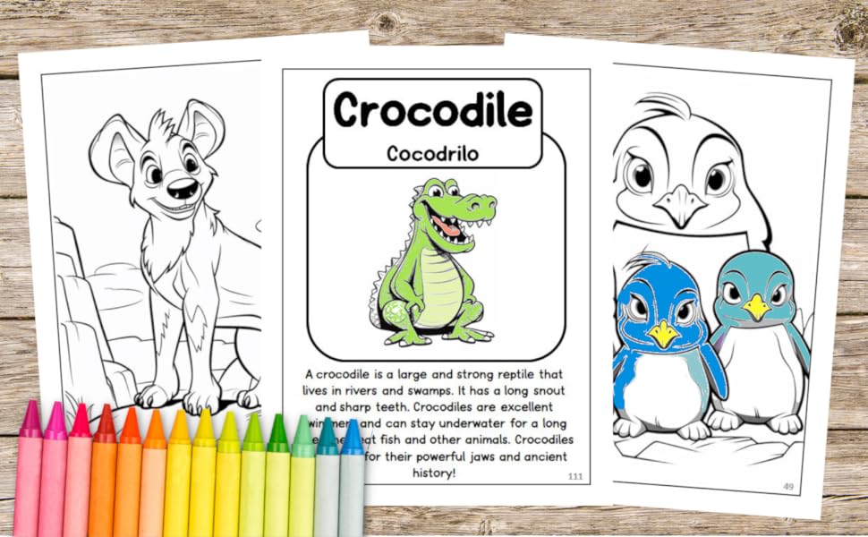 Zoo animals facts coloring book for kids learn fun facts and coloring illustrations of animals of the world in english and spanish for kids ages