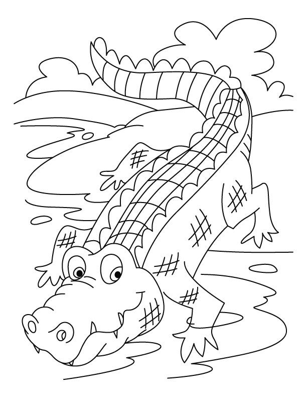 Free printable crocodile coloring pages for kids coloring pages for kids coloring pages coloring book pages